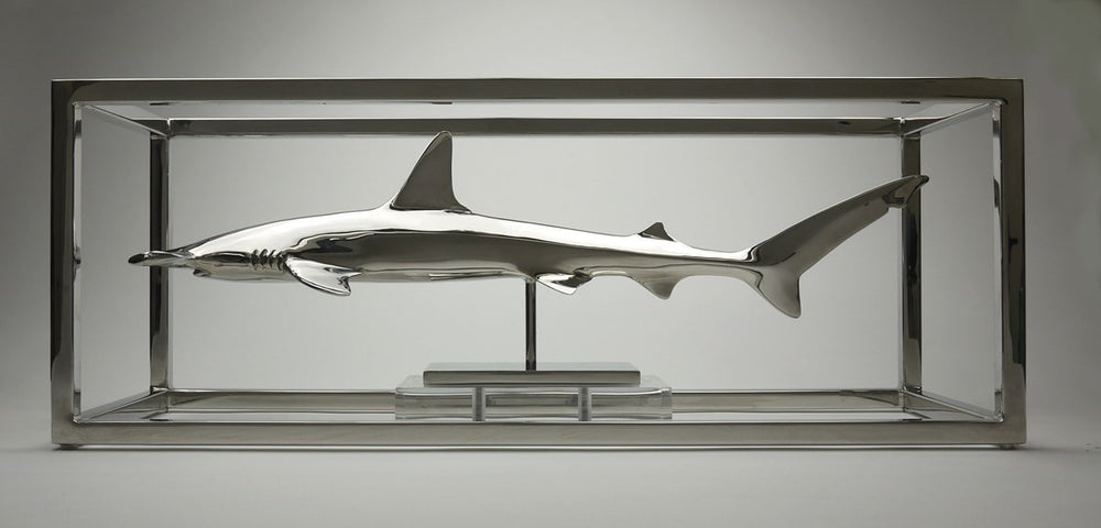 Hammerhead Shark