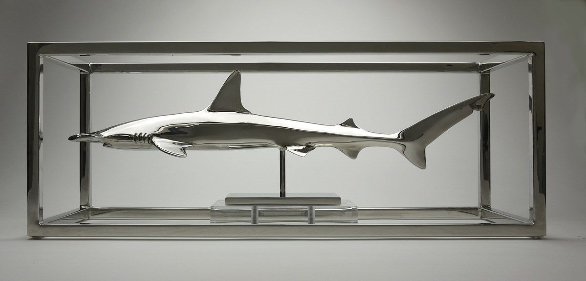 Hammerhead Shark