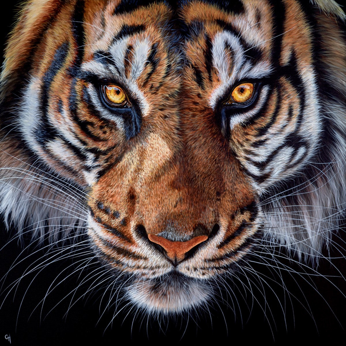 Ready to Pounce III