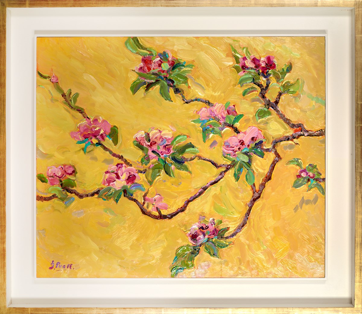 Foxhill Apple Blossom