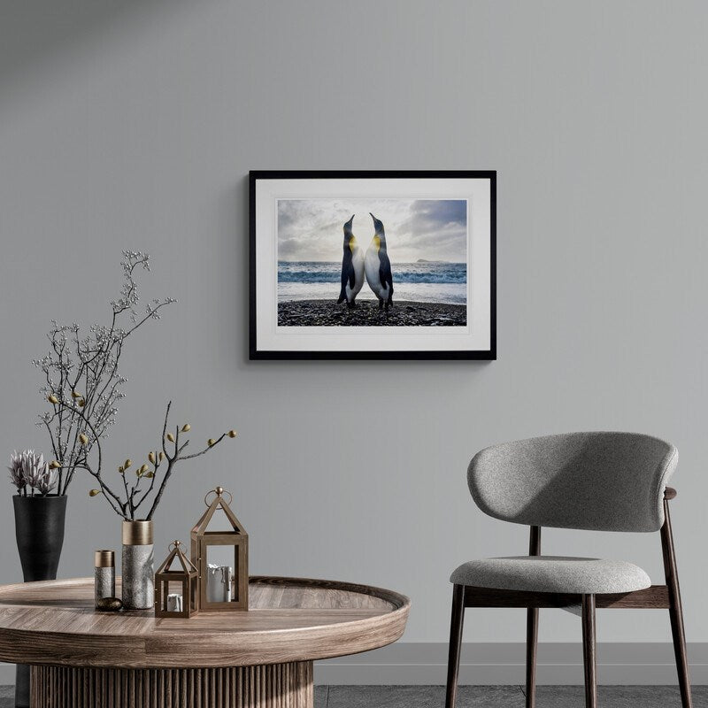 Dare to Hope (Roomset)