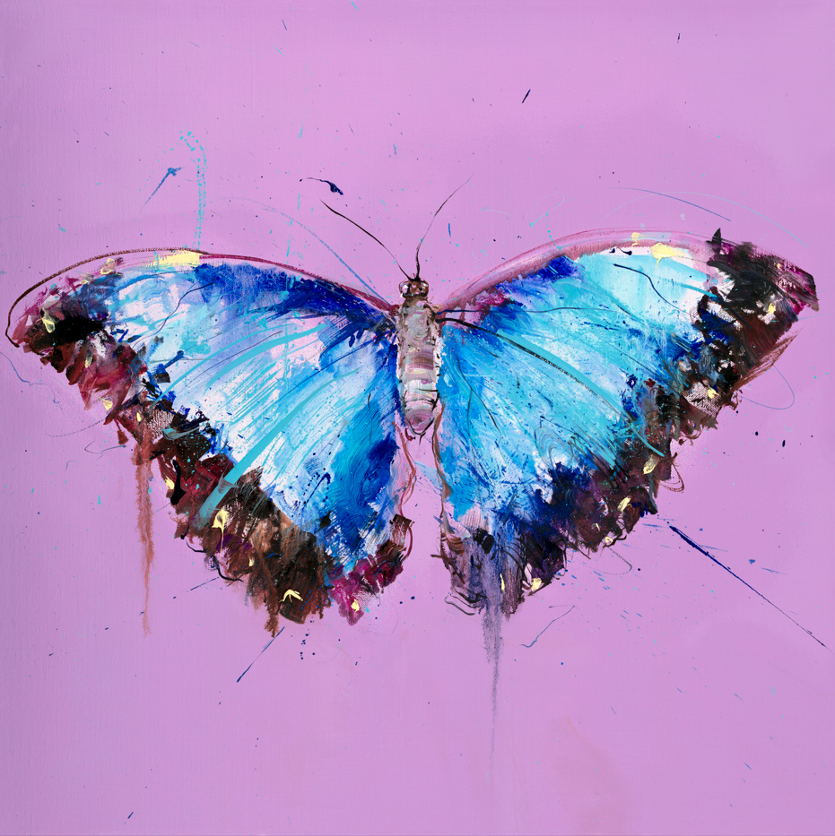 Morpho Butterfly
