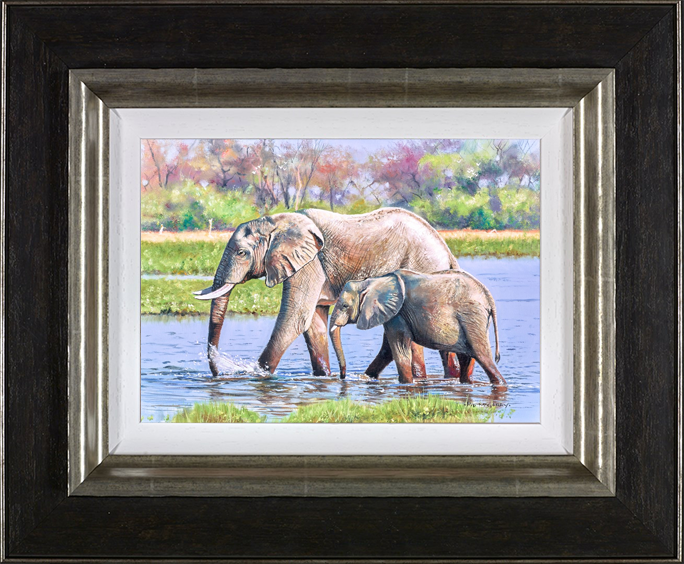 Elephant Days, Botswana