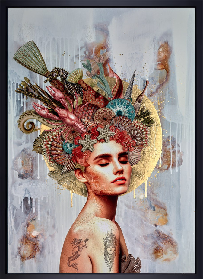 Ocean Dreamer