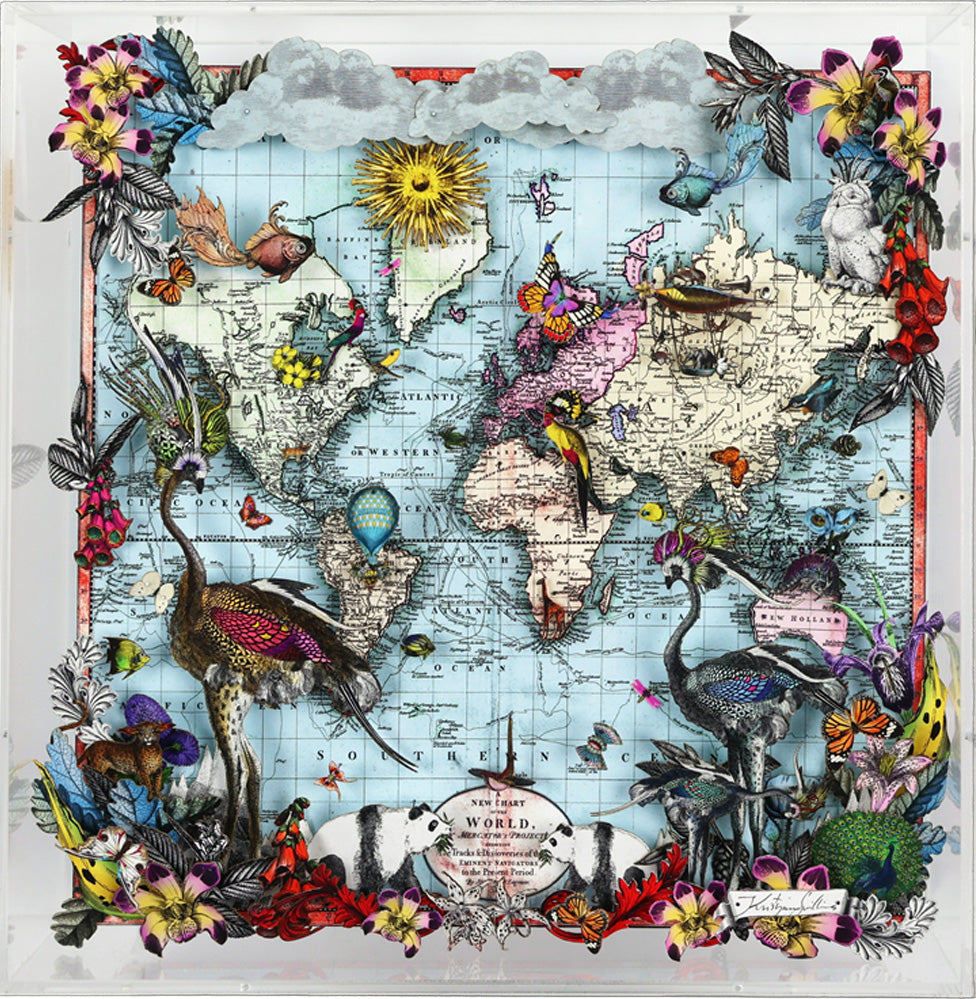 Navigators Floating Map - Ostrich Discoveries Of The World