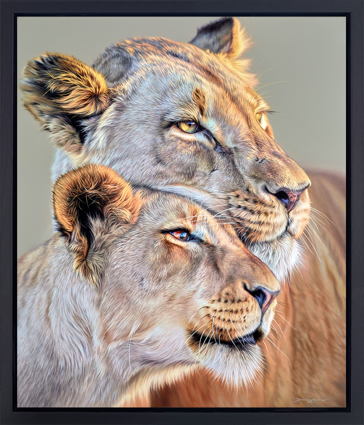 Tough & Tender