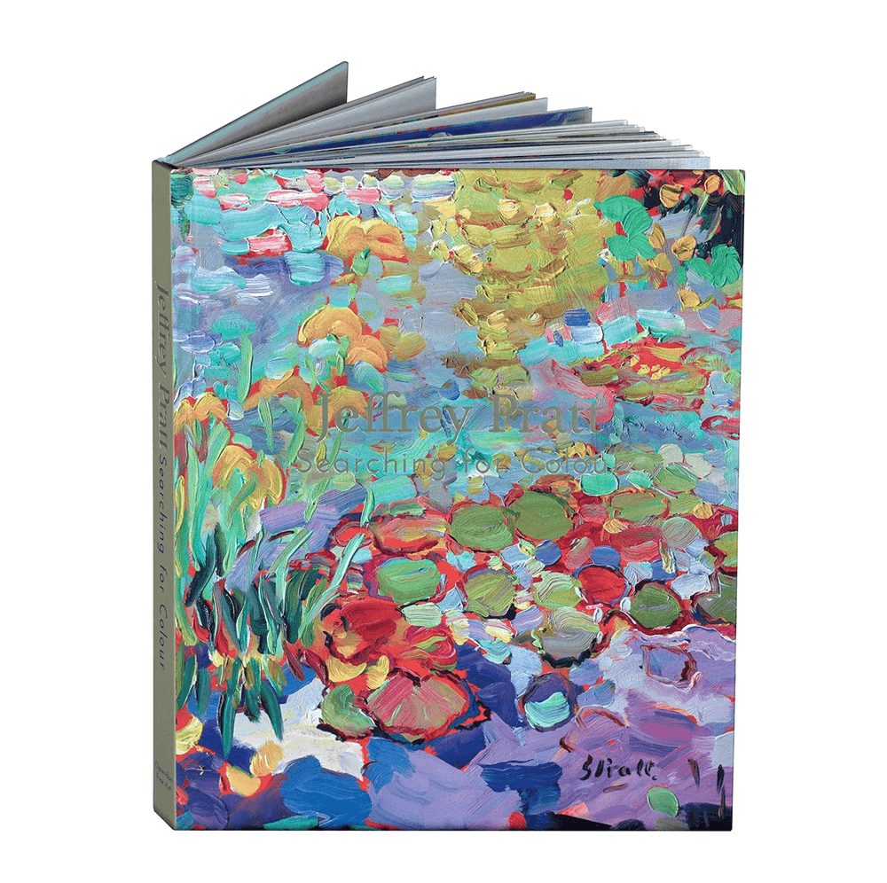 Searching For Colour (Book)