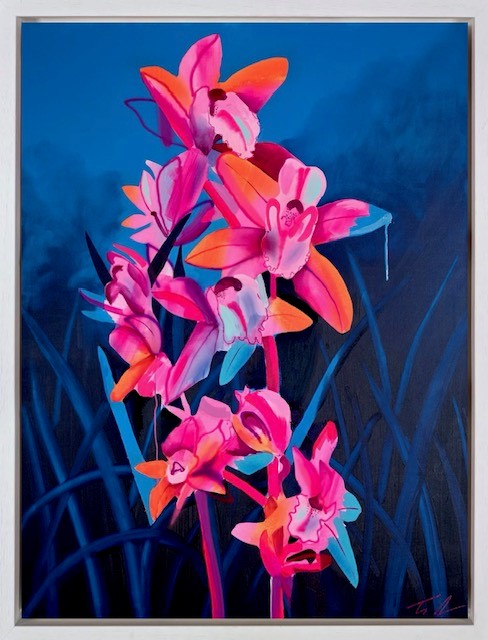Orange Cymbidium