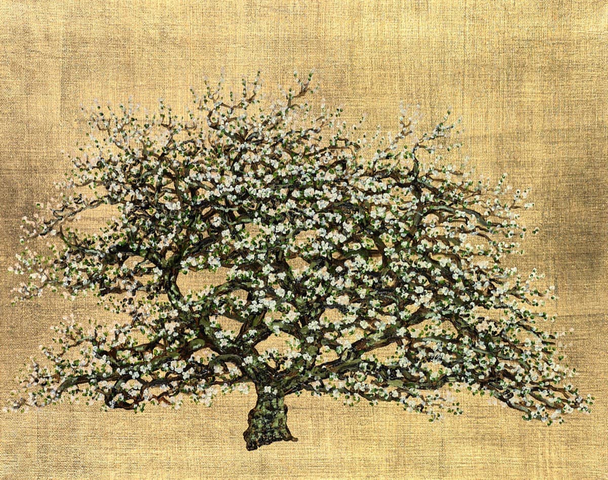 A Tree In Bloom V