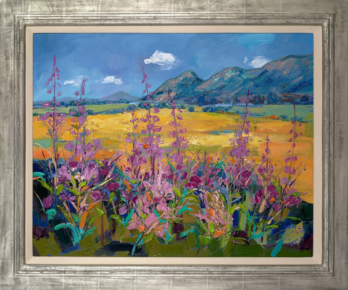 White Clouds and Rosebay Willowherb, The Campsies