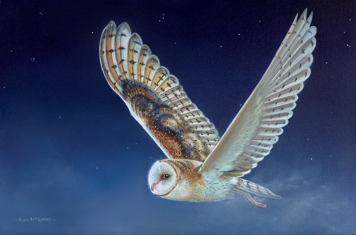 Flying Owl