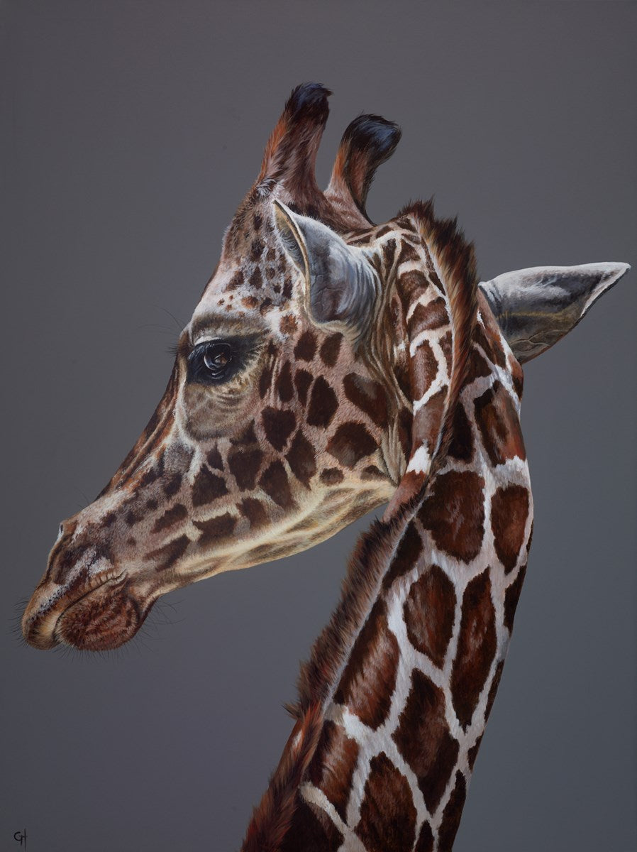 A Giraffe's Stare