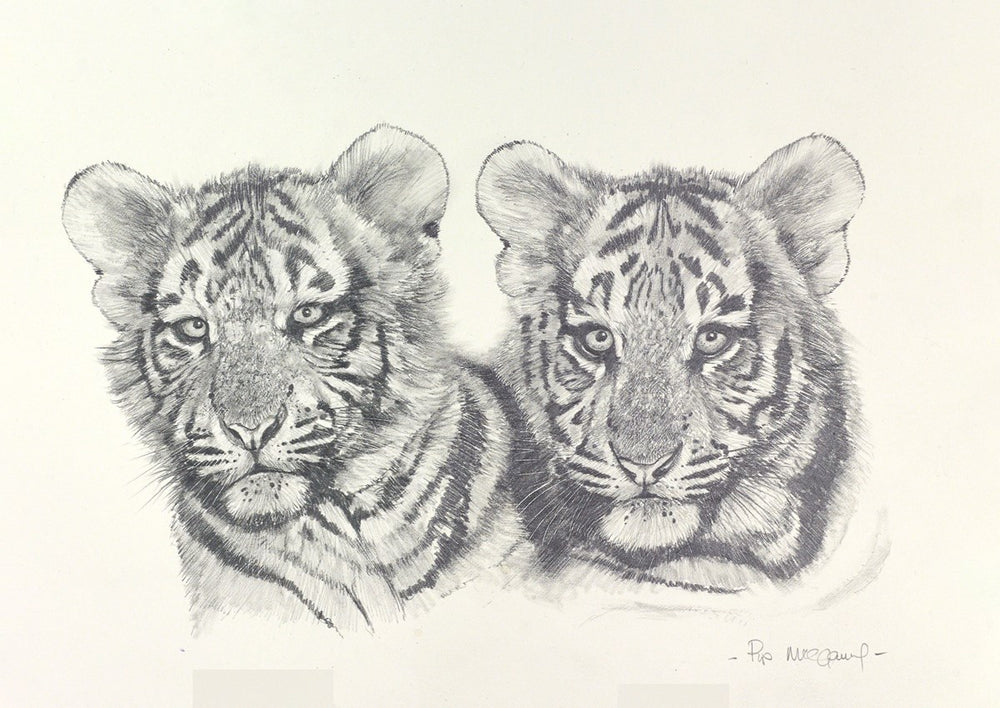 Tiger Cubs Sketch