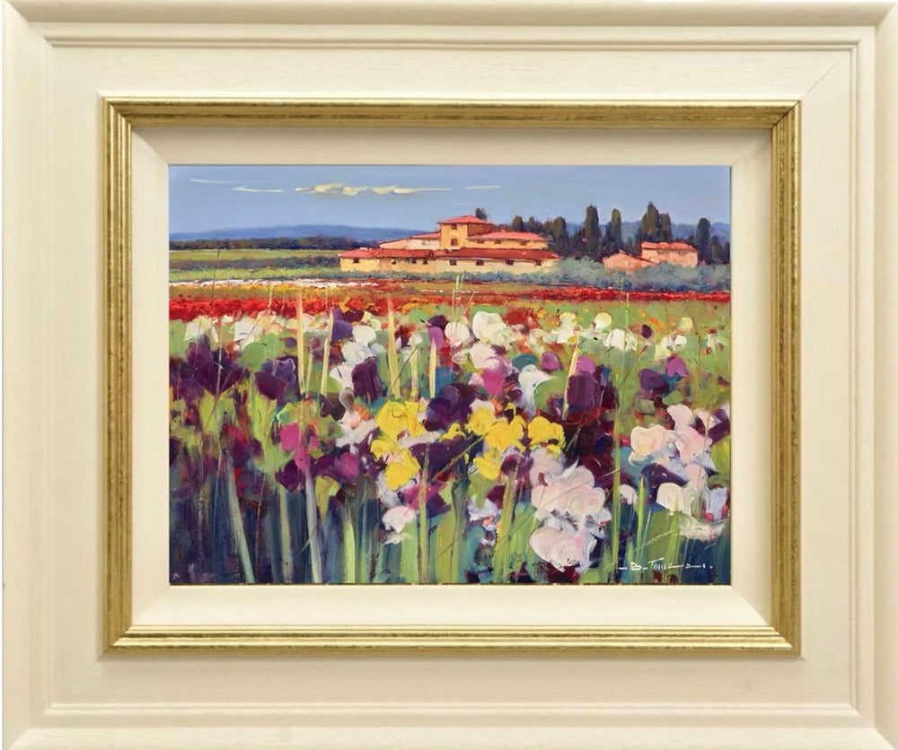 Crescita Continua (Framed)