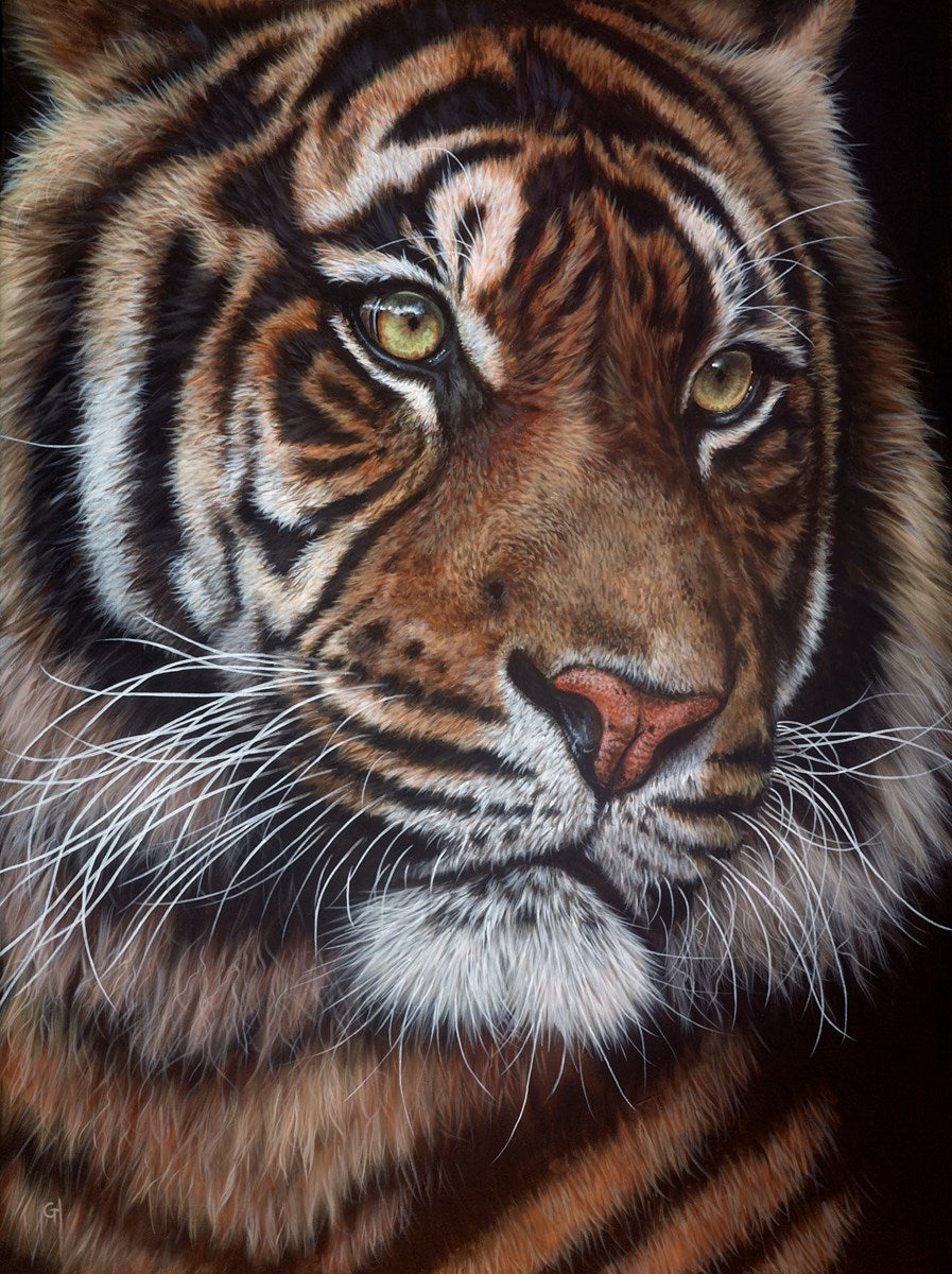 Tiger's Eyes III