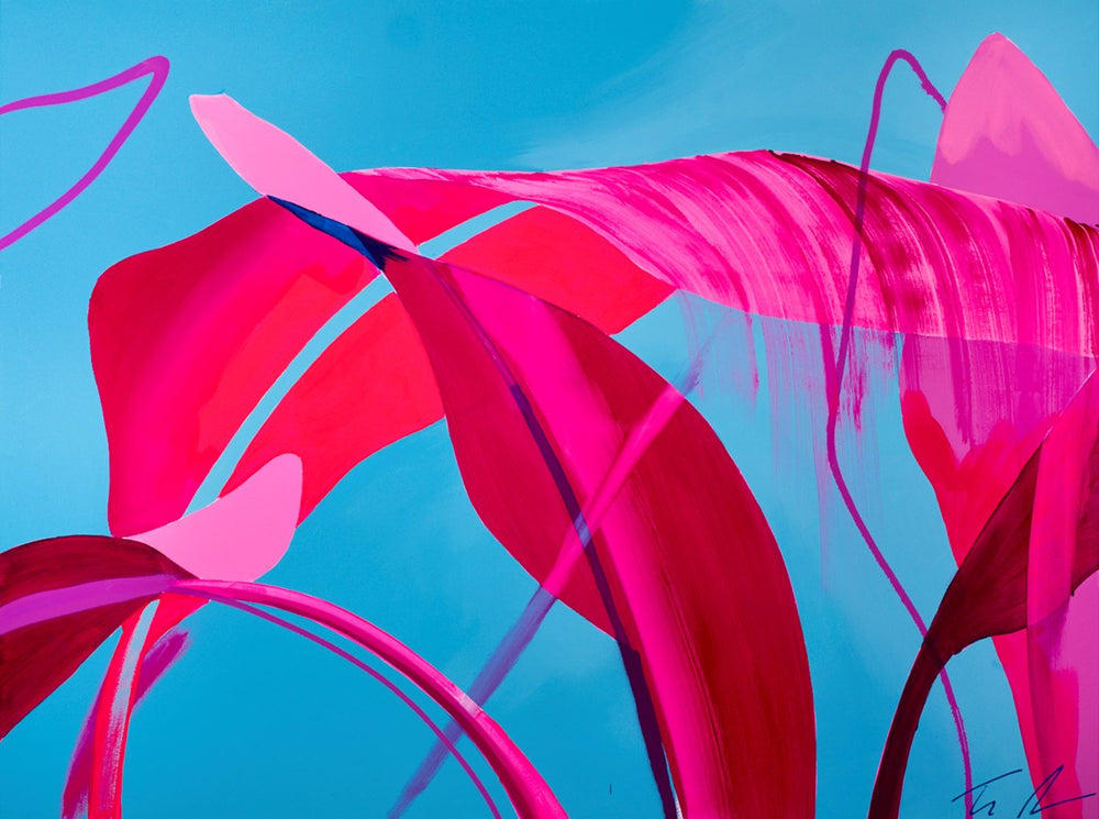 Canopy Fragments