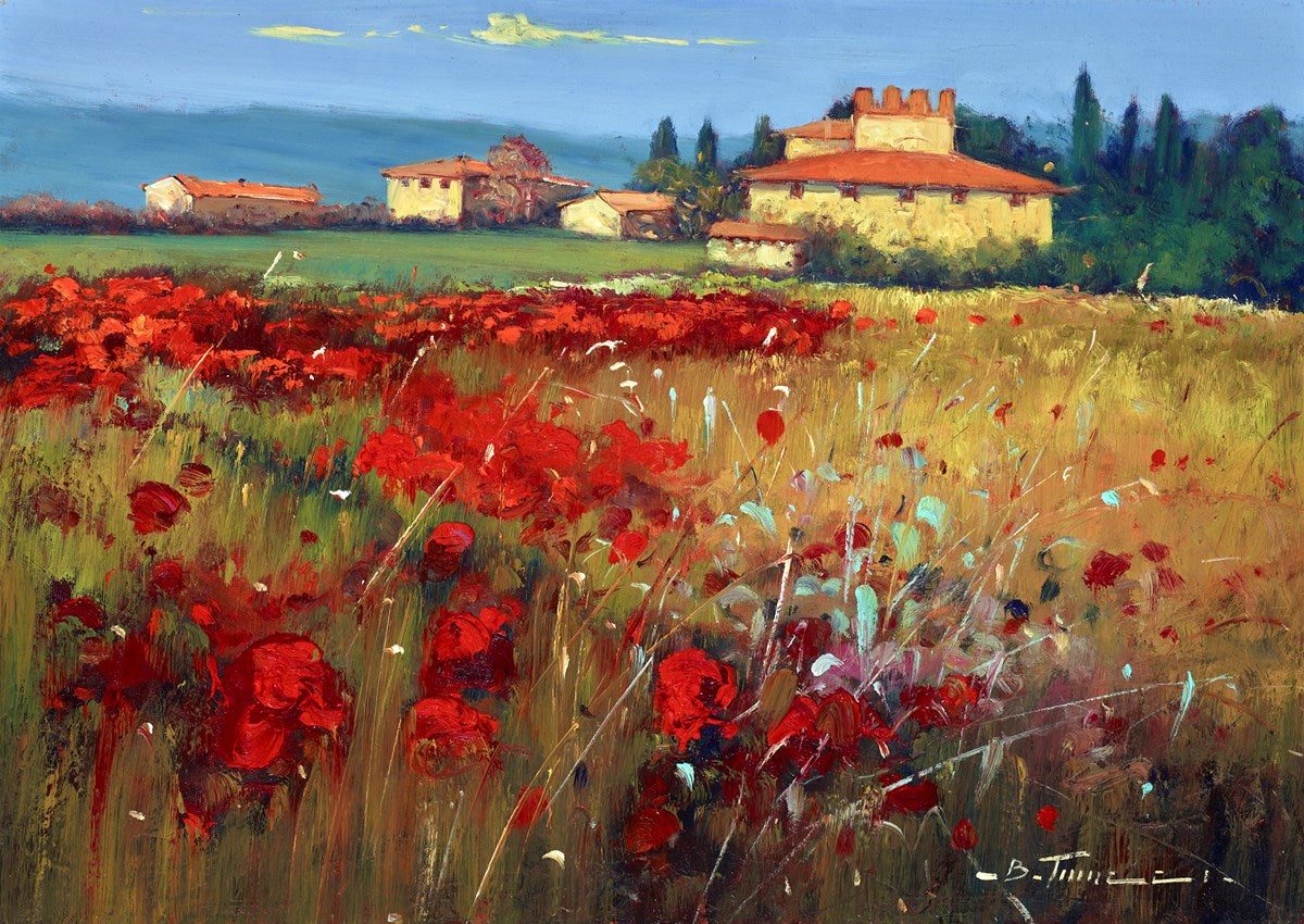 Campi Di Papavero D'Italia