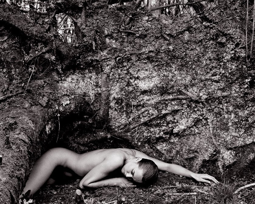Nude Asleep, 1984