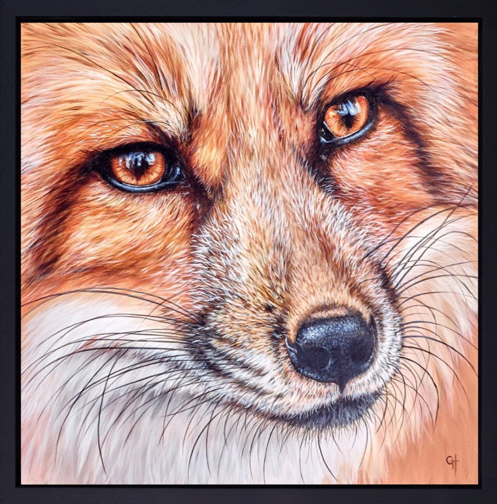 Focused II (Framed)