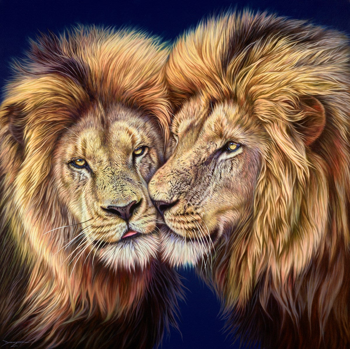 The Coalition