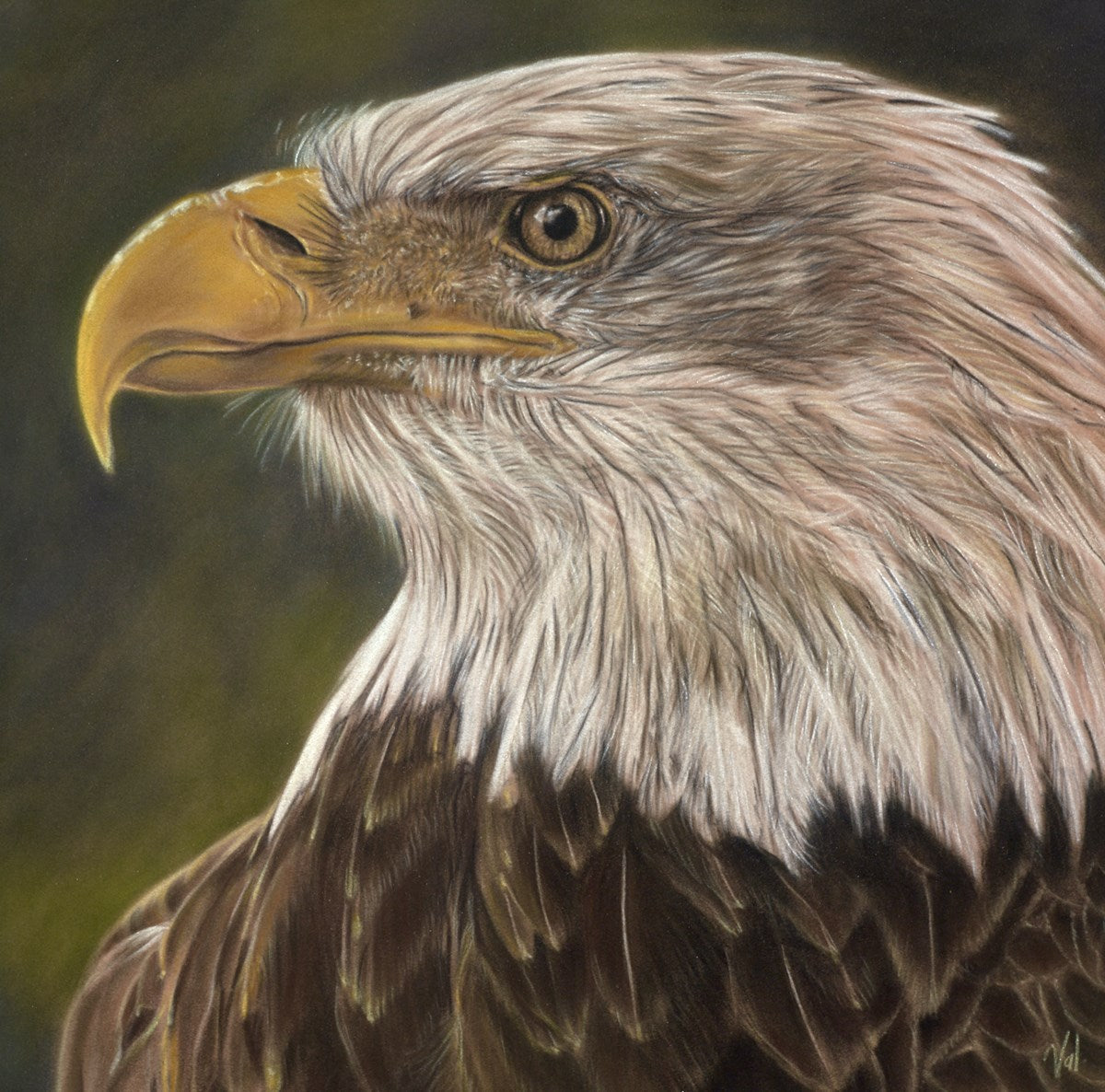 The Eagle Has Landed