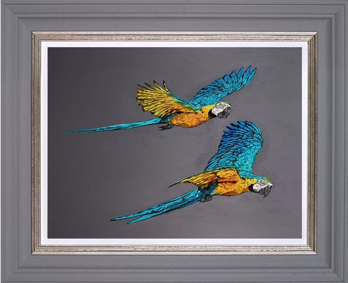 Flying (Framed)