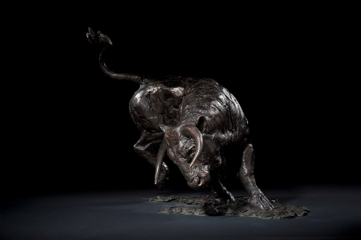 Bull Turning - 2007