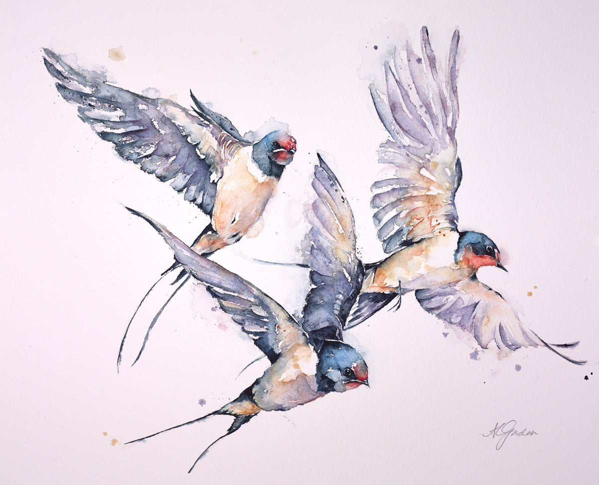 A Summer's Welcolme - Swallows