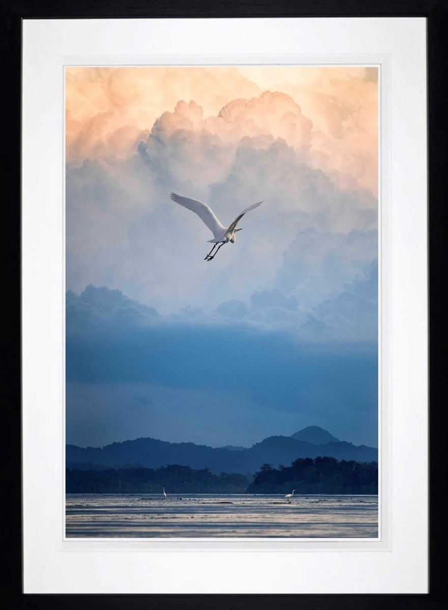 Flight of Fancy (Framed)