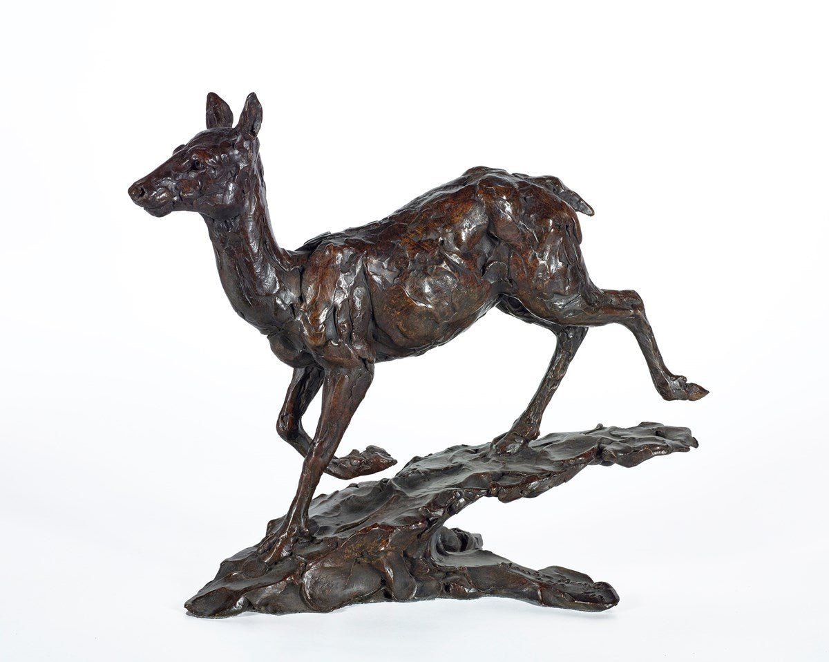 Red Deer Hind - 2012