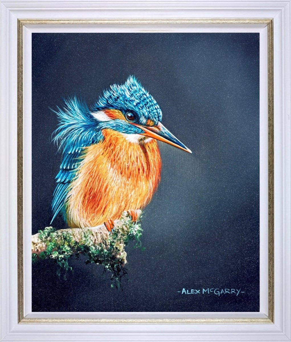Kingfisher (Framed)
