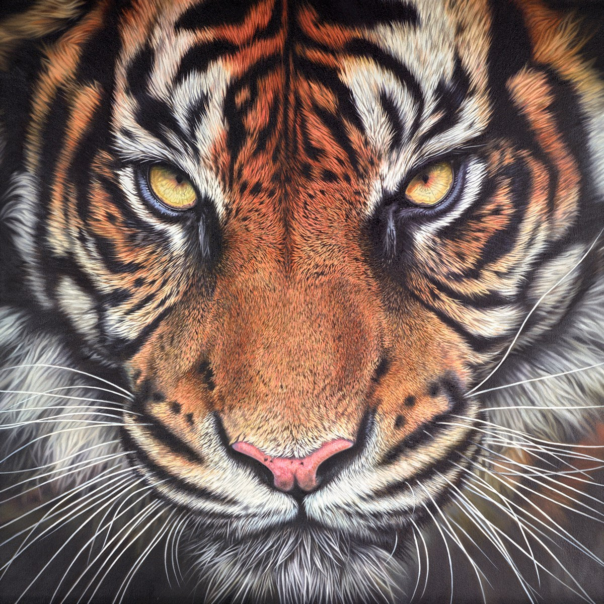 Tiger Demo