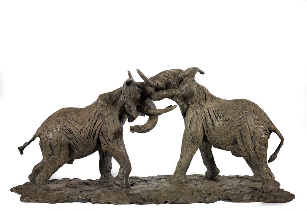 Bull Elephants Fighting - 2010