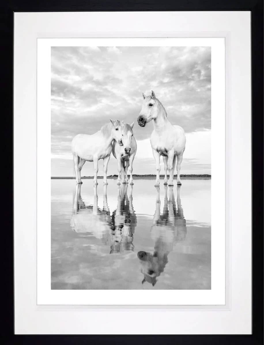 Morning Reflections (Framed)