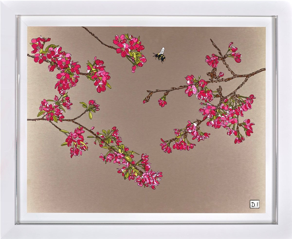 Cherry Blossom and Bumble Bee (Framed)