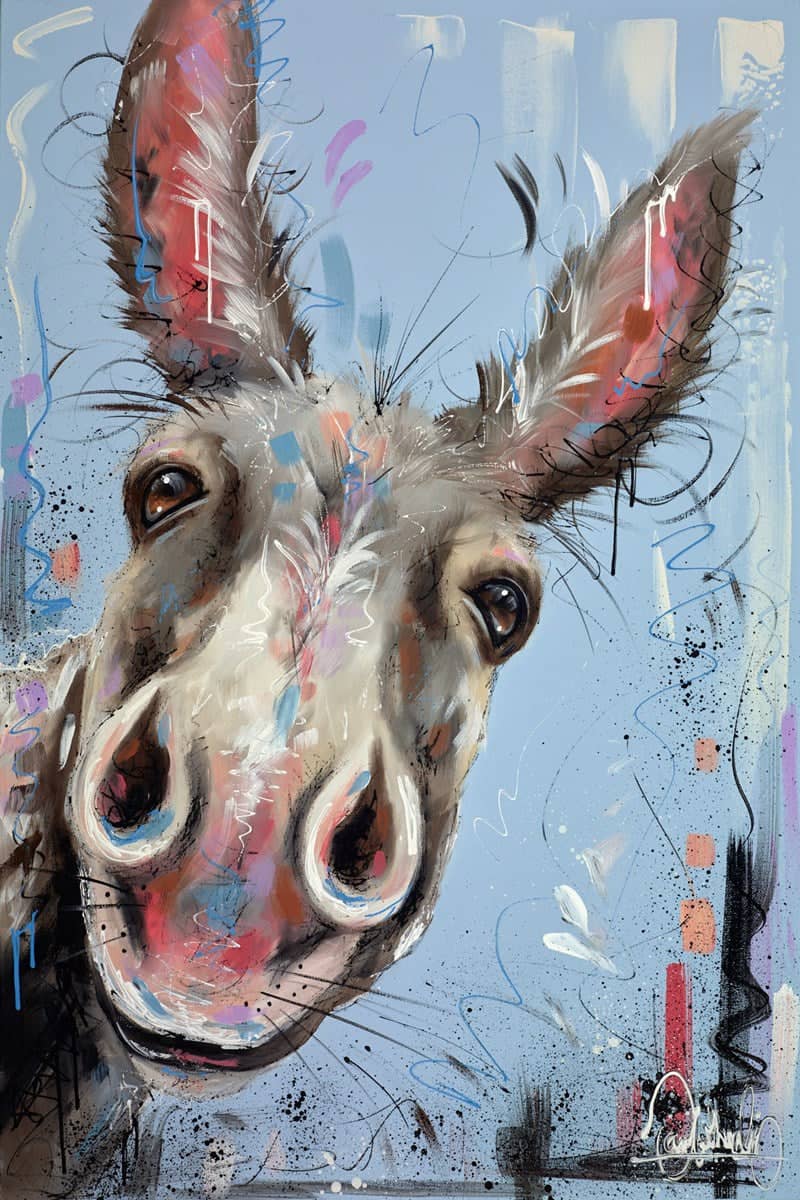 Nosey II