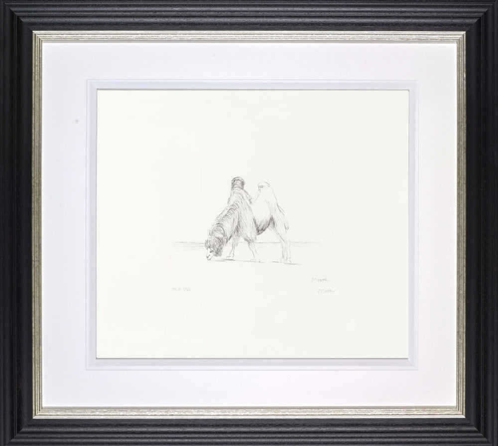 Dromedary from Animals in the Zoo, 1981 (Framed)