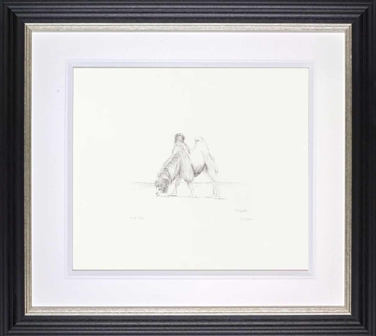 Dromedary from Animals in the Zoo, 1981 (Framed)