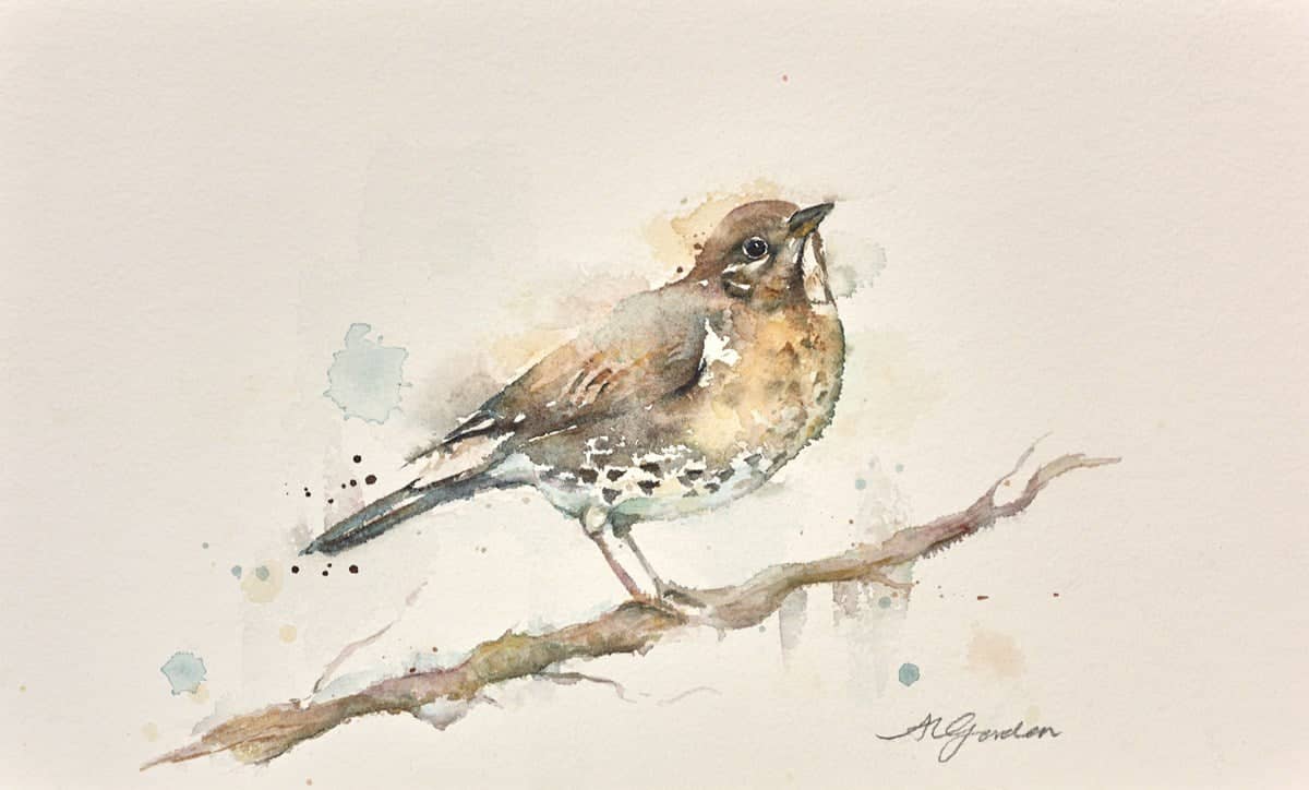 Pretty Song Thrush
