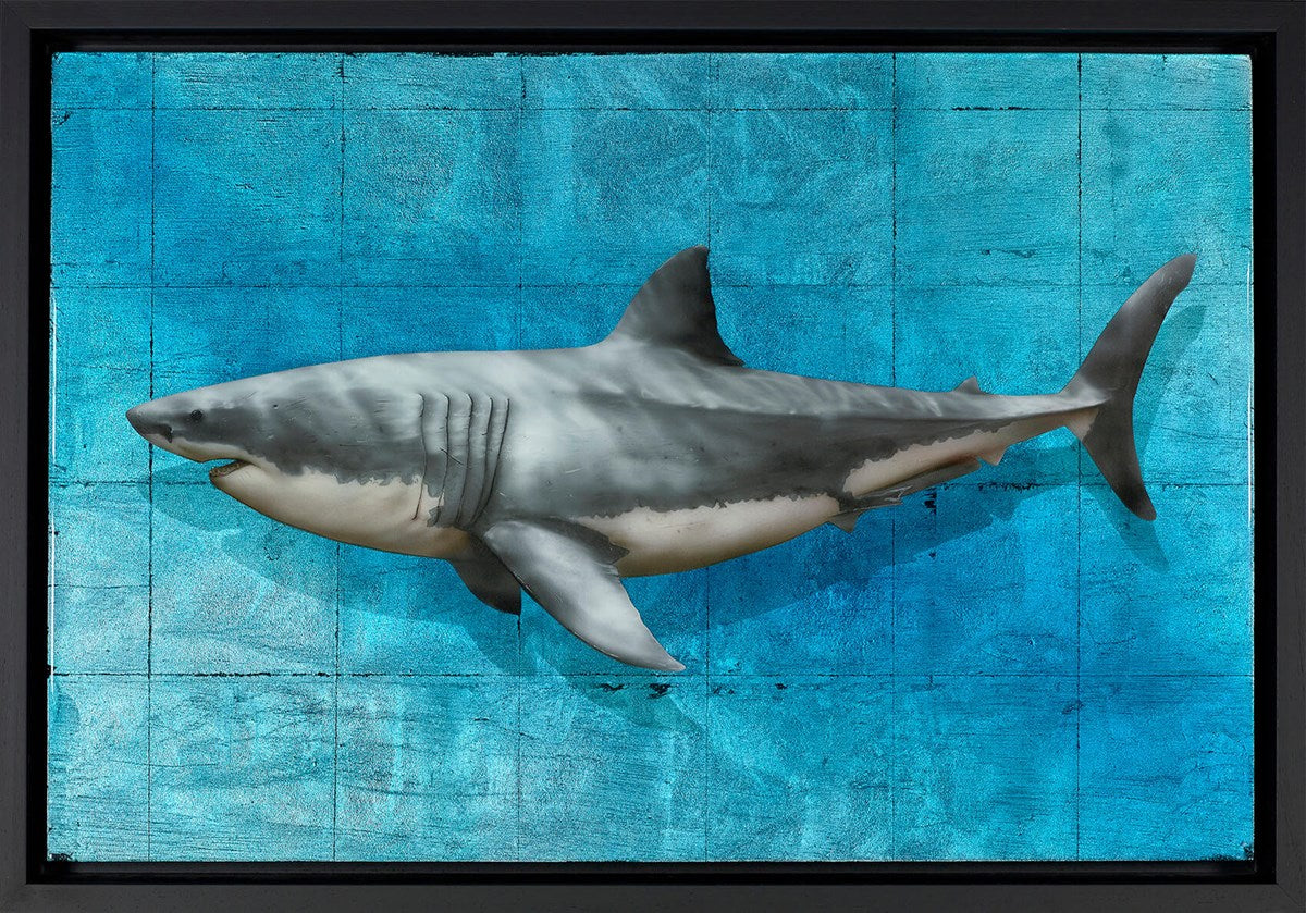 King of the Ocean (Framed)