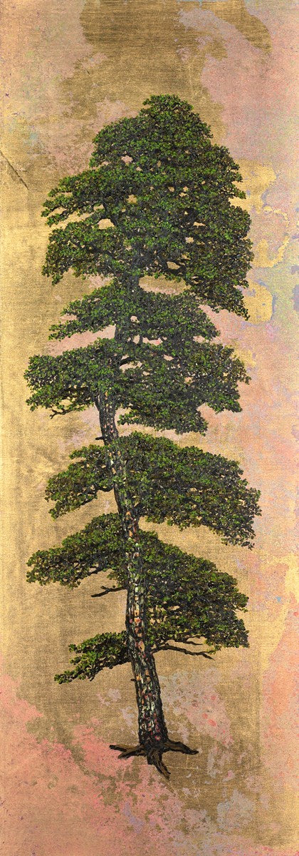 Tall Tree