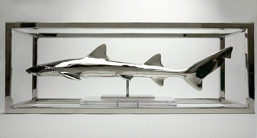 Leopard Shark