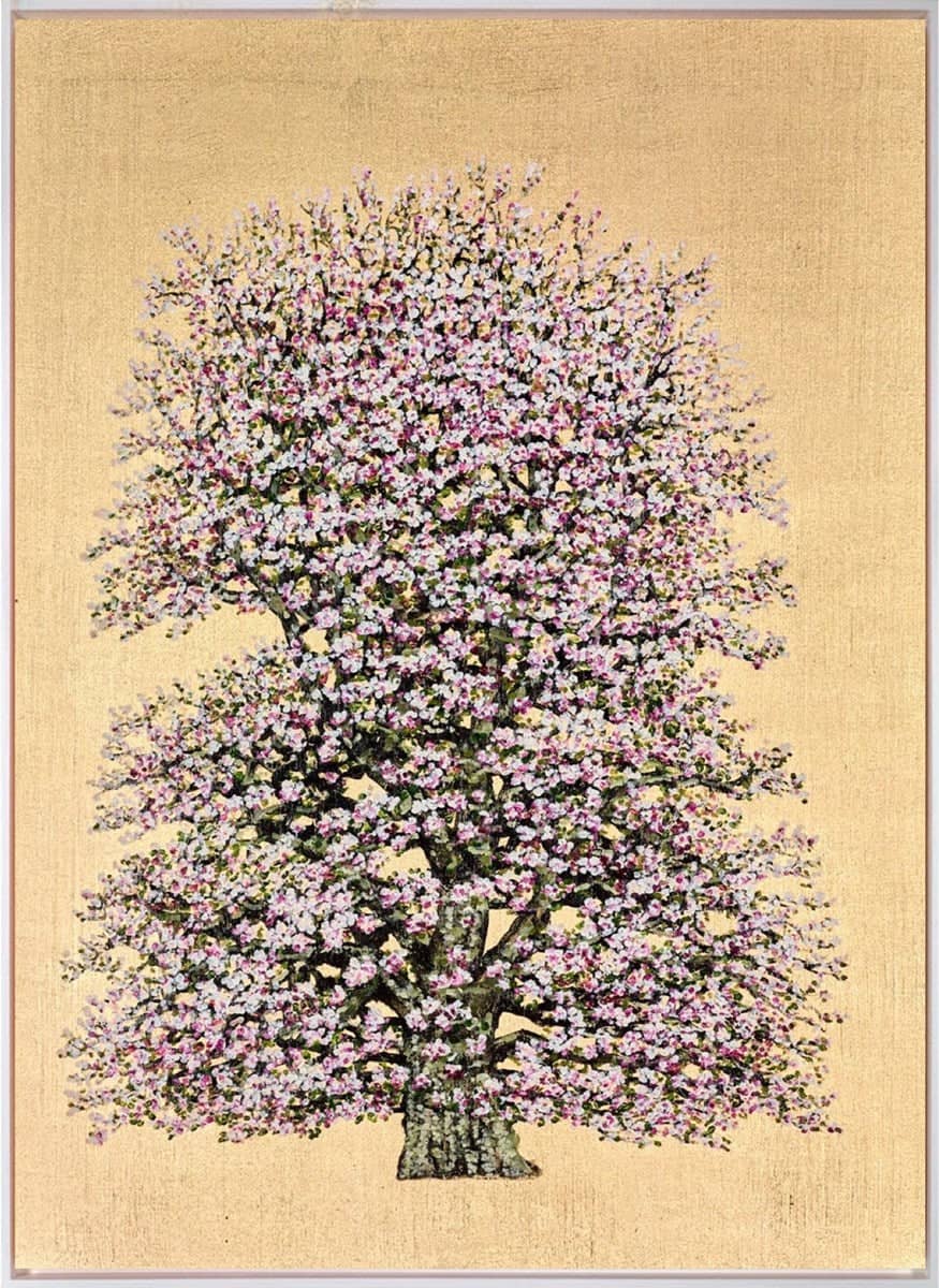 Penelope Flowering Damson Blossom (Framed)