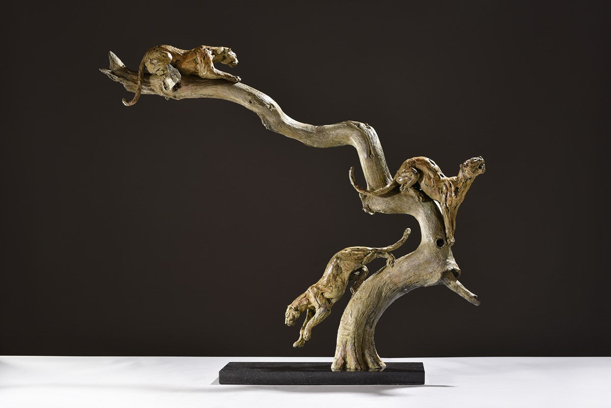 Leopards, Three in a Tree - 2014