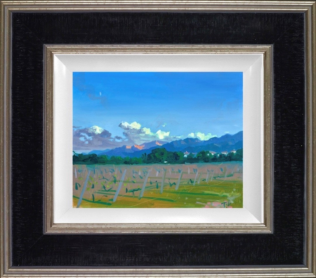 Open skies (Framed)