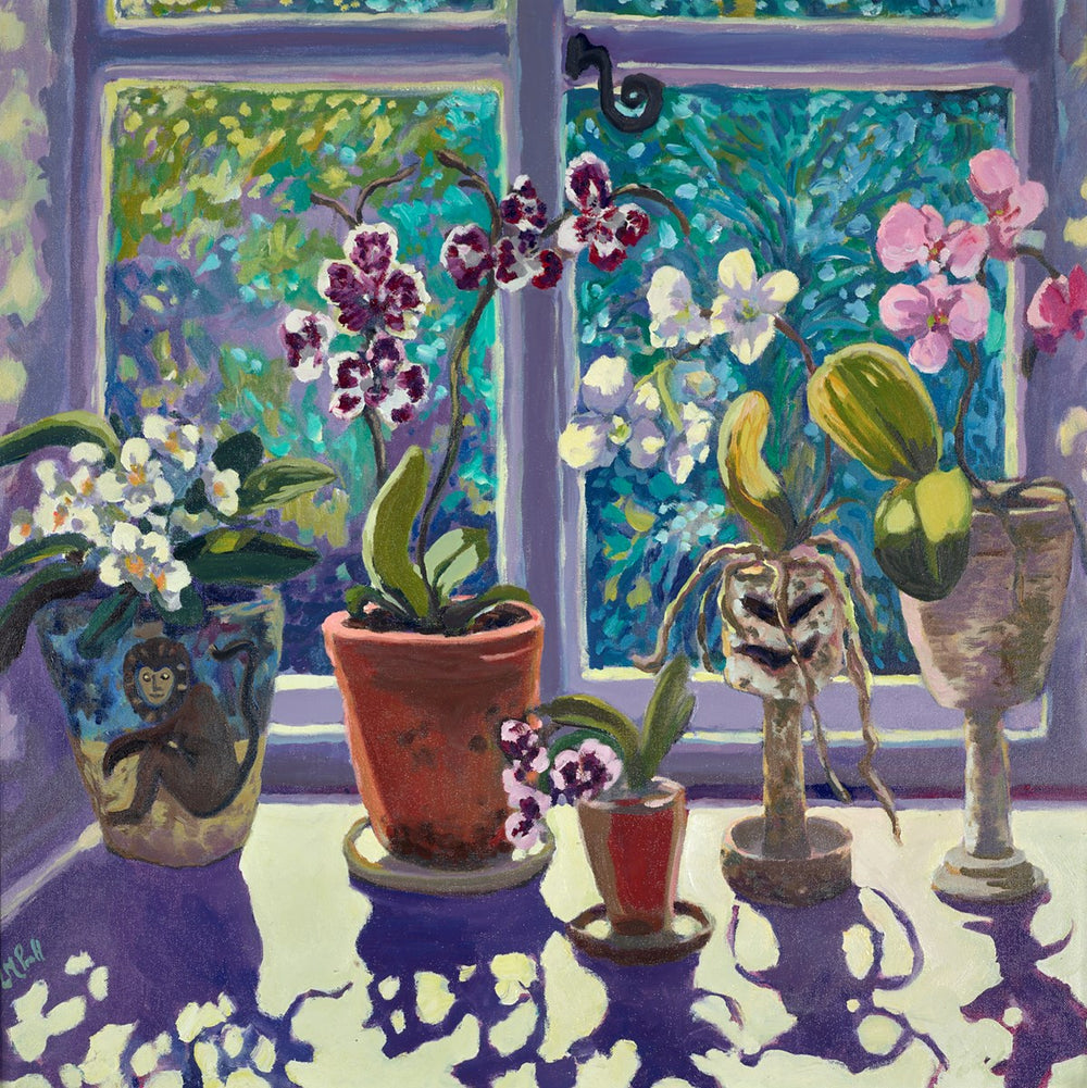 Tranquil Orchids