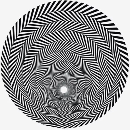 Bridget Riley Artwork