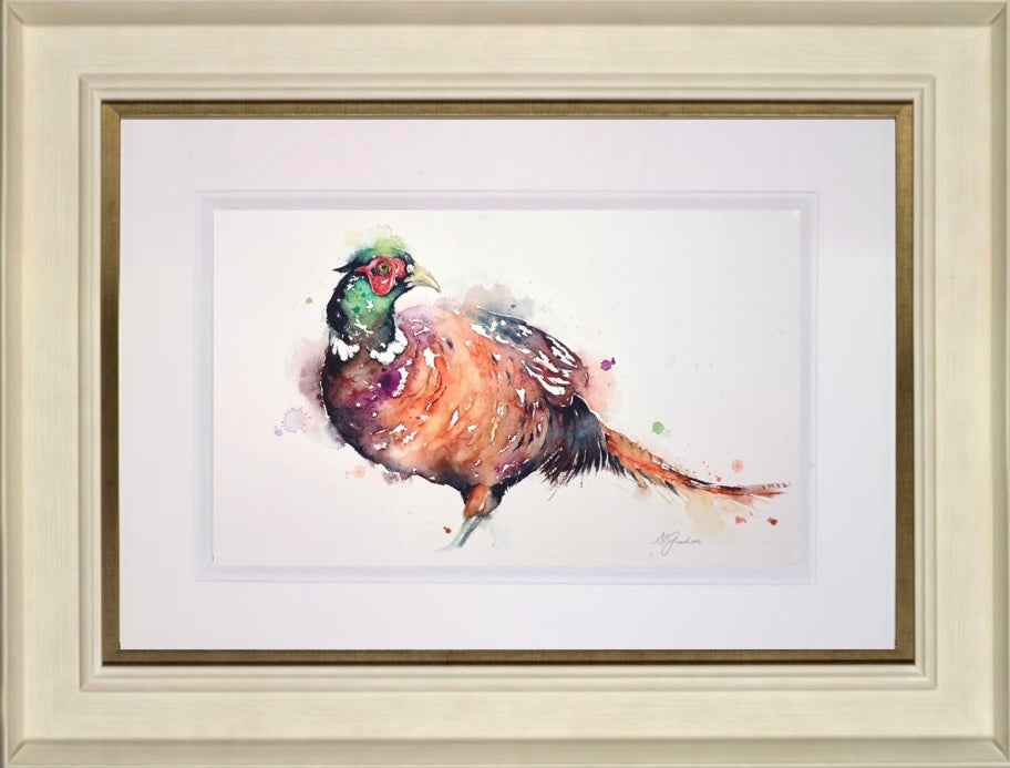 Fancy Pheasant
