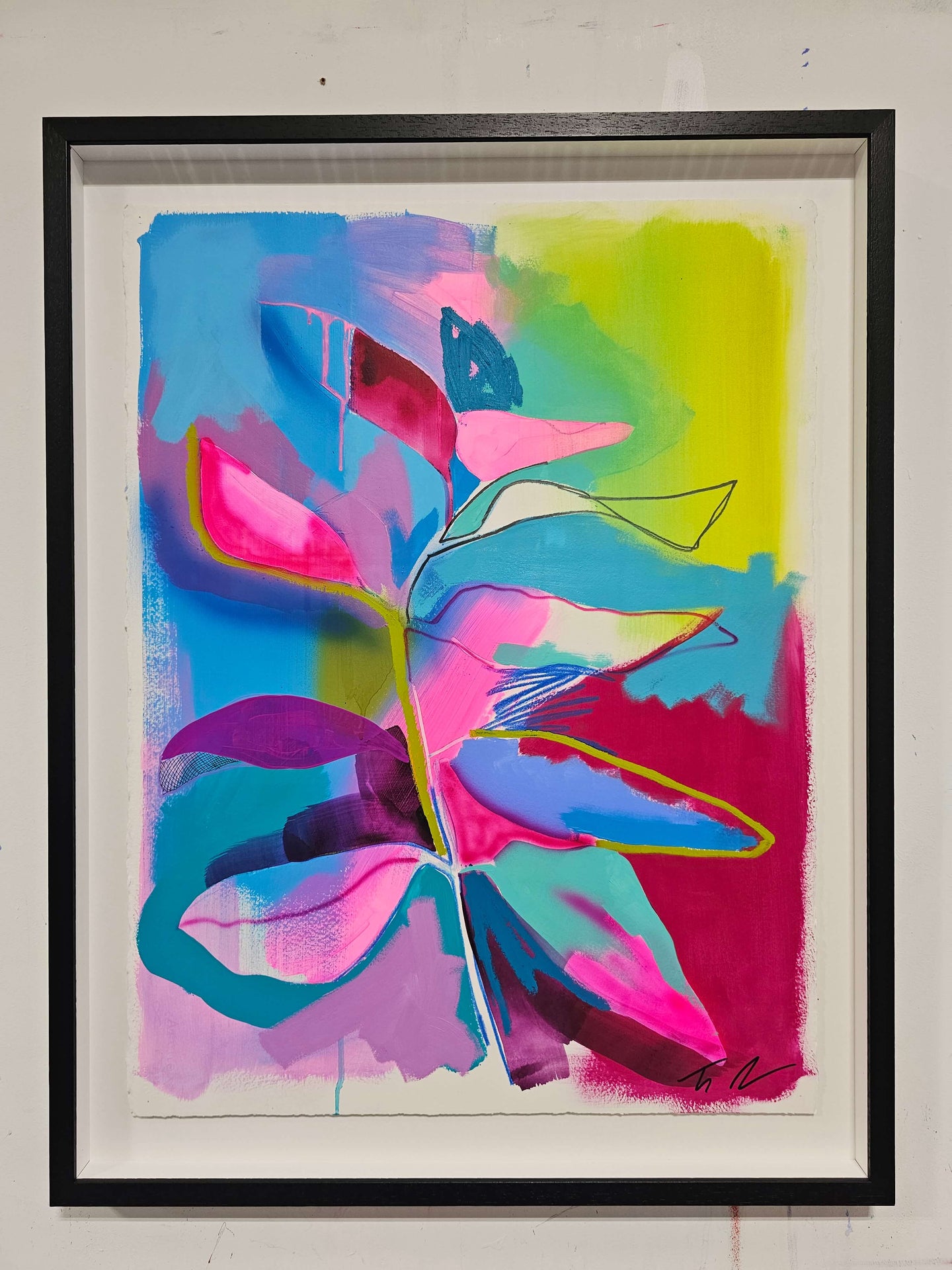 Madagascar Periwinkle Study