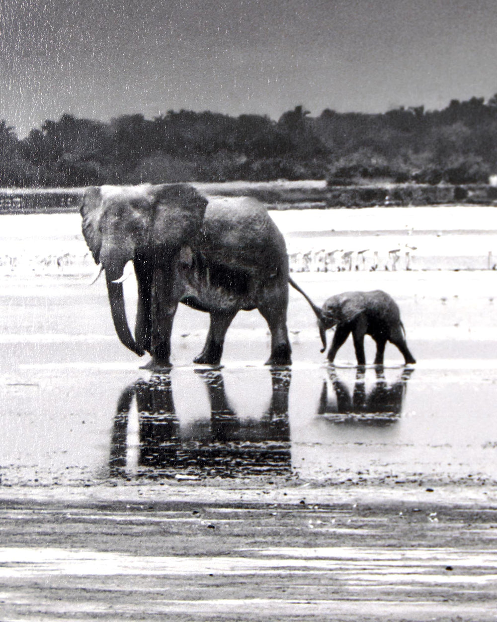 The Crossing